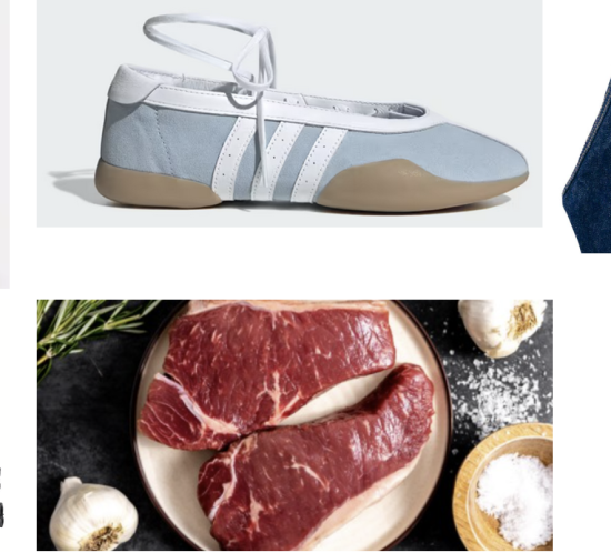 handbag, shoes, jeans, hair dryer, meat, vest